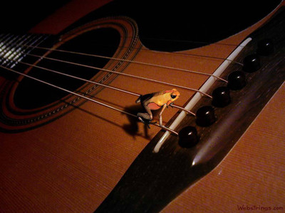 Music Guitar Frog HD Wallpaper Background Fine Art Print(12 inch X 18 inch, Rolled)
Music Guitar Frog HD Wallpaper Background Fine Art Print(12 inch X 18 inch, Rolled)
