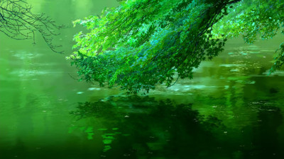 Movie The Garden Of Words Anime Rain HD Wallpaper Background Paper Print(12 inch X 18 inch, Rolled)
Movie The Garden Of Words Anime Rain HD Wallpaper Background Paper Print(12 inch X 18 inch, Rolled)
