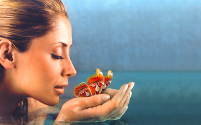 Music Lara Fabian Singers Belgium Lara Fabian Butterfly Water Elegant Profile Artistic Hand HD Wallpaper Background Fine Art Print(12 inch X 18 inch, Rolled)
Music Lara Fabian Singers Belgium Lara Fabian Butterfly Water Elegant Profile Artistic Hand HD Wallpaper Background Fine Art Print(12 inch X 18 inch, Rolled)
