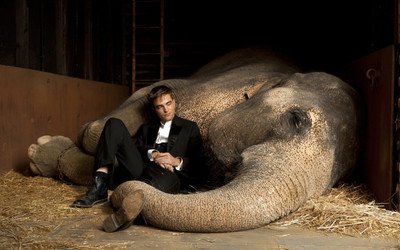 Akhuratha Poster Movie Water For Elephants Robert Pattinson HD Wallpaper Background Fine Art Print(12 inch X 18 inch, Rolled)
Akhuratha Poster Movie Water For Elephants Robert Pattinson HD Wallpaper Background Fine Art Print(12 inch X 18 inch, Rolled)