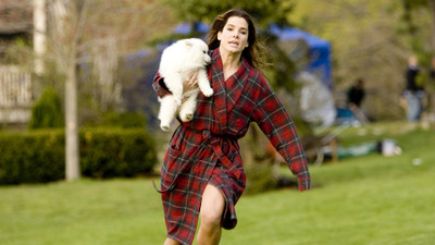Movie The Proposal Sandra Bullock Margaret Tate Dog HD Wallpaper Background Paper Print(12 inch X 18 inch, Rolled)
Movie The Proposal Sandra Bullock Margaret Tate Dog HD Wallpaper Background Paper Print(12 inch X 18 inch, Rolled)