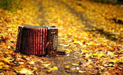 Music Accordion Fall Season Nature Leaf Mood Wall Poster Fine Art Print(12 inch X 18 inch, Rolled)
Music Accordion Fall Season Nature Leaf Mood Wall Poster Fine Art Print(12 inch X 18 inch, Rolled)