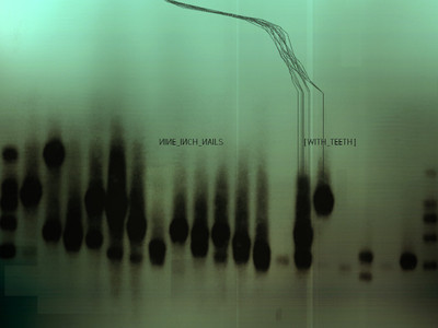 Music Nine Inch Nails Band (Music) United States HD Wallpaper Background Fine Art Print(12 inch X 18 inch, Rolled)
Music Nine Inch Nails Band (Music) United States HD Wallpaper Background Fine Art Print(12 inch X 18 inch, Rolled)