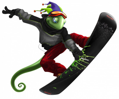 Sports Snowboarding Wall Poster Paper Print(12 inch X 18 inch, Rolled)