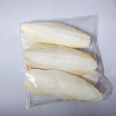 Parrots Wizard Cuttle Bone for Birds Calcium 200Grams Fish 200 g Dry Bird Food
Parrots Wizard Cuttle Bone for Birds Calcium 200Grams Fish 200 g Dry Bird Food