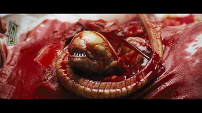 Akhuratha Poster Movie Alien HD Wallpaper Background Fine Art Print(12 inch X 18 inch, Rolled)
Akhuratha Poster Movie Alien HD Wallpaper Background Fine Art Print(12 inch X 18 inch, Rolled)