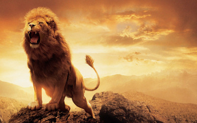 Akhuratha Poster Movie The Chronicles Of Narnia: The Lion, The Witch And The Chronicles Of Narnia Lion Aslan HD Wallpaper Background Fine Art Print(12 inch X 18 inch, Rolled)
Akhuratha Poster Movie The Chronicles Of Narnia: The Lion, The Witch And The Chronicles Of Narnia Lion Aslan HD Wallpaper Background Fine Art Print(12 inch X 18 inch, Rolled)