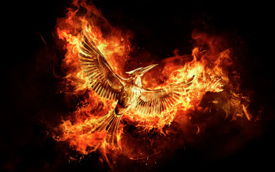 Movie The Hunger Games: Mockingjay - Part 2 The Hunger Games HD Wallpaper Background Paper Print(12 inch X 18 inch, Rolled)
Movie The Hunger Games: Mockingjay - Part 2 The Hunger Games HD Wallpaper Background Paper Print(12 inch X 18 inch, Rolled)