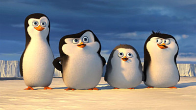 Movie Penguins Of Madagascar HD Wallpaper Background Paper Print(12 inch X 18 inch, Rolled)
Movie Penguins Of Madagascar HD Wallpaper Background Paper Print(12 inch X 18 inch, Rolled)