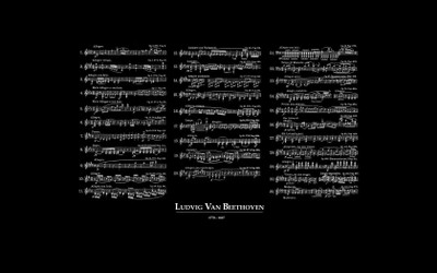 Music Beethoven Wall Poster Fine Art Print(12 inch X 18 inch, Rolled)