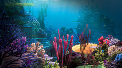Akhuratha Poster Movie Finding Nemo HD Wallpaper Background Fine Art Print(12 inch X 18 inch, Rolled)
Akhuratha Poster Movie Finding Nemo HD Wallpaper Background Fine Art Print(12 inch X 18 inch, Rolled)
