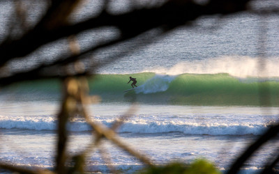 Sports Surfing Wall Poster Paper Print(12 inch X 18 inch, Rolled)