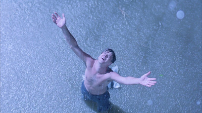 Movie The Shawshank Redemption Tim Robbins Andy Dufresne The Shawshank Redemtion HD Wallpaper Background Paper Print(12 inch X 18 inch, Rolled)
Movie The Shawshank Redemption Tim Robbins Andy Dufresne The Shawshank Redemtion HD Wallpaper Background Paper Print(12 inch X 18 inch, Rolled)
