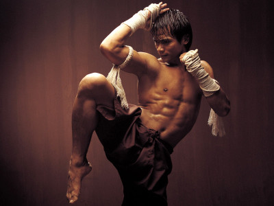 Sports Martial Arts HD Wall Poster Paper Print(12 inch X 18 inch, Rolled)