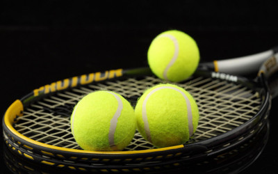 Sports Tennis Wall Poster Paper Print(12 inch X 18 inch, Rolled)