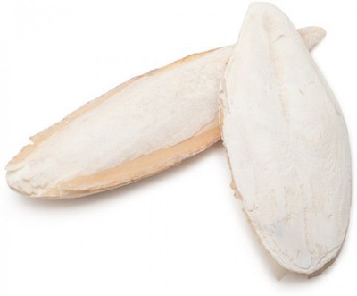 OrchidWala CUTTLEFISH BONE - CALCIUM FOOD FOR BIRD FEEDING 250 Dry Bird Food