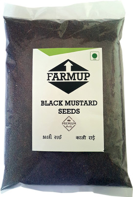 FARMUP Mixed Seeds(500 g)