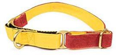 PetWale Dog Harness & Leash(, Multicolor