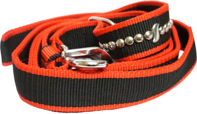 valuevault Dog Collar & Leash(, Multicolor