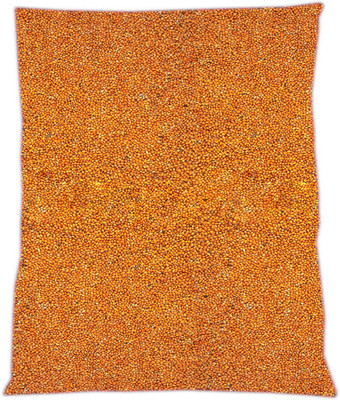 Parrots Wizard Red Millet 1 kg Dry Bird Food