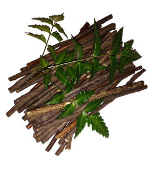 Puspa || NEEM - Datun|Twig|Datwan|Stick || 30 pcs. || Medium Toothbrush(Pack of 30)
Puspa || NEEM - Datun|Twig|Datwan|Stick || 30 pcs. || Medium Toothbrush(Pack of 30)