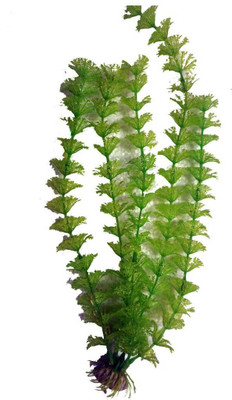 Gkdk aquarium_pot_10034 Aquarium Plant Anchor({Plant Anchors1)