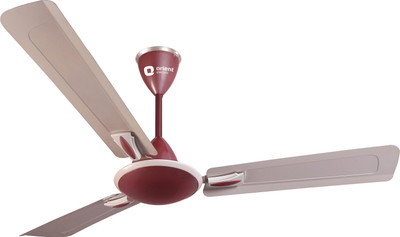 Orient Electric Gratia Class 3 Blade Ceiling Fan(Pearl-Pink, Pack of 1), Maroon;pink