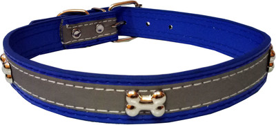Petshop7 Leather 1 inch Dog Everyday Collar(, Blue