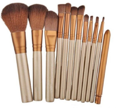BAGRIA Make up Brush Set with Storage Box (Pack of 12) (Pack of 12)(Pack of 12)