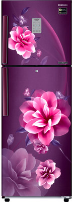 Samsung 253 L Frost Free Double Door 3 Star Convertible Refrigerator(Camellia Purple, RT28R3923CR/HL)
Samsung 253 L Frost Free Double Door 3 Star Convertible Refrigerator(Camellia Purple, RT28R3923CR/HL)