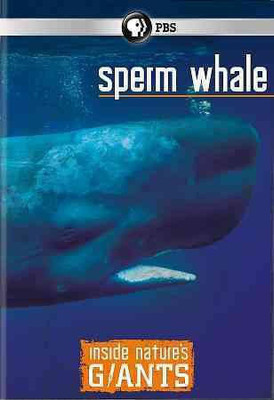 INSIDE NATURE'S GIANTS:SPERM WHALE(DVD English)