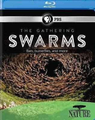NATURE:GATHERING OF SWARMS(Blu-ray English)
NATURE:GATHERING OF SWARMS(Blu-ray English)