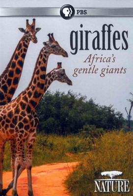 NATURE:GIRAFFES AFRICA'S GENTLE GIANT(DVD English)