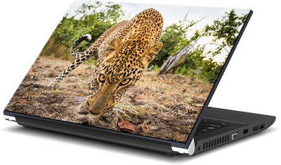 ezyPRNT Close up with Panther (15 to 15.6 inch) Vinyl Laptop Decal 15