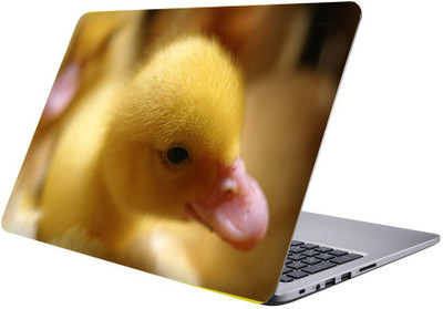 Printclub Designer-174 Vinyl Laptop Decal 15.6