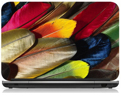 Box 18 Colourful Feathers1326 Vinyl Laptop Decal 15.6