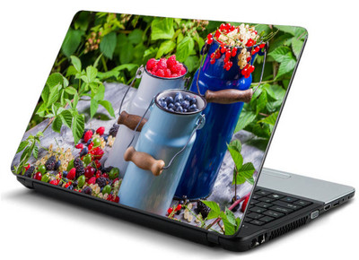 Geek RASPBERRIES CURRANTS BLACKBERRIES CANS LEAVES Laminated Vinyl Laptop Decal 15.6
Geek RASPBERRIES CURRANTS BLACKBERRIES CANS LEAVES Laminated Vinyl Laptop Decal 15.6