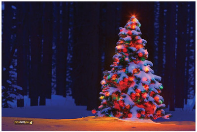 Pics And You Pics And You Christmas Themed 45 Laptop Skin Vinyl Laptop Decal 15.6
