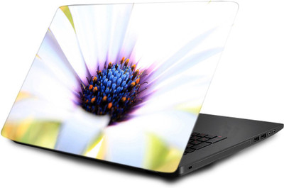 Printclub Laptop Skin decal 15.6 inch- Laptop skin-372 Vinyl Laptop Decal 15.6