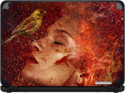 Jack Parrot Bird Girl Vinyl Laptop Decal 14
Jack Parrot Bird Girl Vinyl Laptop Decal 14