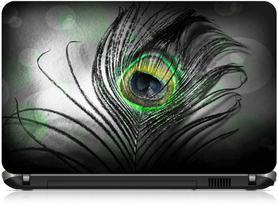 Box 18 Peacock Feathers 1101666 Vinyl Laptop Decal 15.6