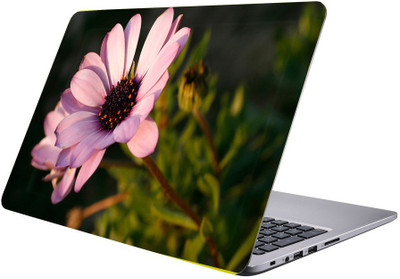 Printclub Designer-255 Vinyl Laptop Decal 15.6