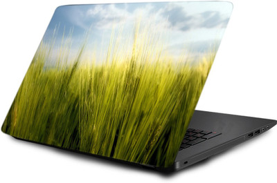Printclub Laptop Skin decal 15.6 inch- Laptop skin-475 Vinyl Laptop Decal 15.6