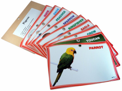 Instabuyz Flash Cards Super set for Toddler and Learning Kids, Packs and Stickers (ABCs, Colors, Shapes, and Birds details).(Multicolor)
Instabuyz Flash Cards Super set for Toddler and Learning Kids, Packs and Stickers (ABCs, Colors, Shapes, and Birds details).(Multicolor)