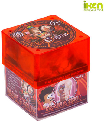 iKen Joy Brain and Skull(Red)