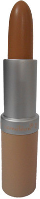 Cameleon 2 In 1 Pan Stick & Concealer(Shade-04, 4 g)
