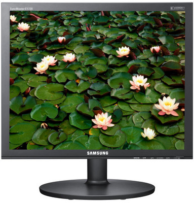 Samsung E1720NR 17 inch LCD Monitor(E1720NR)
