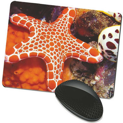 FRENEMY MPAD8095 Mousepad(Multicolor)
FRENEMY MPAD8095 Mousepad(Multicolor)