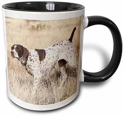 3dRose mug_2871_4 German Shorthair Pointer Two Tone Black, 11 oz, Black/White Ceramic Mug(60 ml), Multicolor
3dRose mug_2871_4 German Shorthair Pointer Two Tone Black, 11 oz, Black/White Ceramic Mug(60 ml), Multicolor