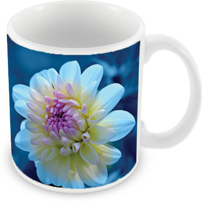 Sleep Nature's SN-MG-1887 Ceramic Mug(350 ml), Multicolor